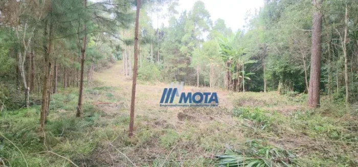 Chácara à venda, com 7,7 alqueires ou seja 186700 m² por R$ 860.000 - Itaqui de Cima - Cam