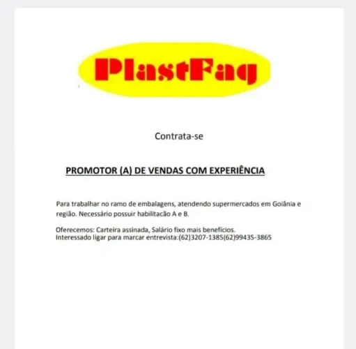 Promotor de Vendas