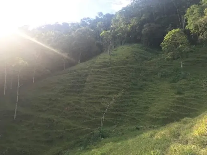 Chácara / Sítio à venda, 2 quartos, Três Rios do Norte - Jaraguá do Sul/SC