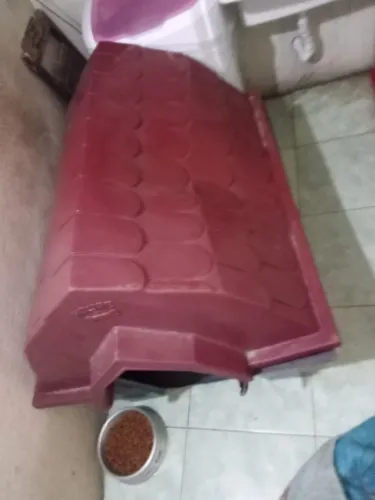 Casa de cachorro 