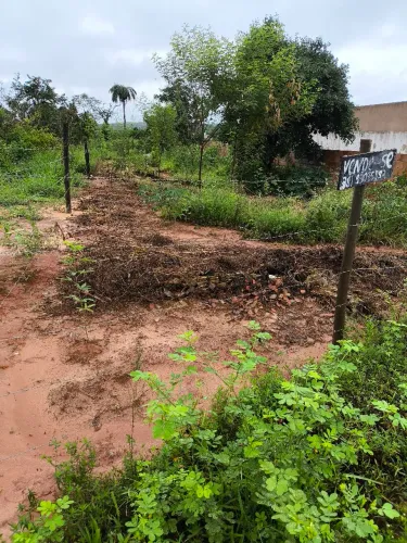 Vendo ou troco lote no nenzinho pinheiro.