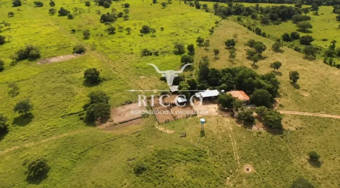 FAZENDA À VENDA EM CRIXÁS-GO  244,42 HECTARES | ESTRUTURA COMPLETA