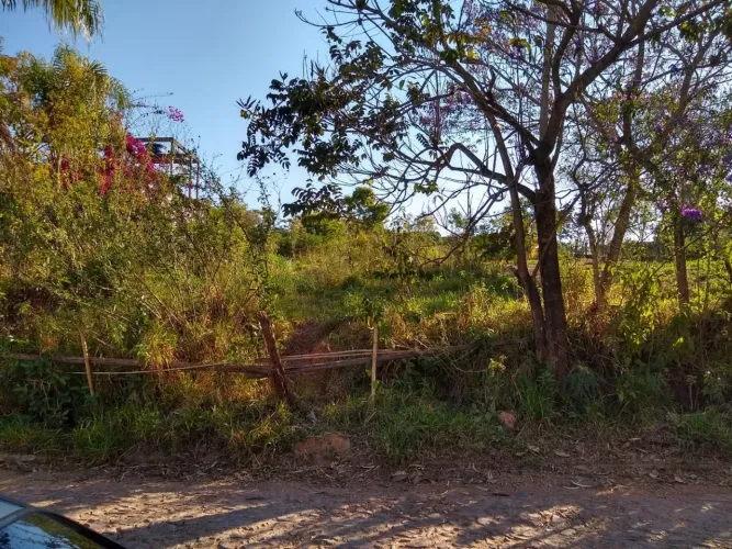 LOTE NO BICHINHO