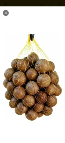 Macadâmia em Natura Fresca - A Rainha das Nozes (Sabor Amanteigado)