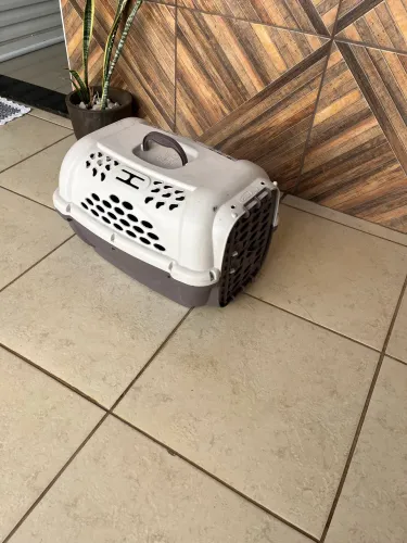 Caixa de transporte pet