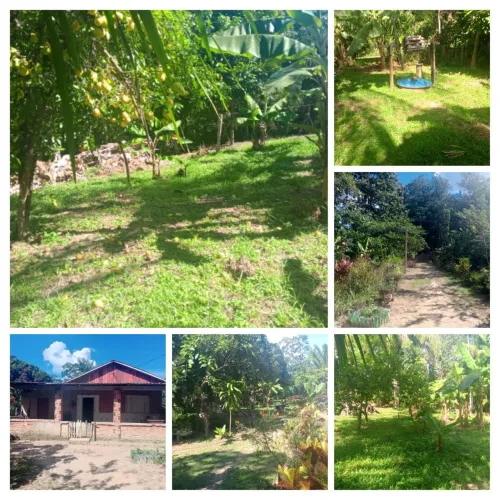 Vende se uma casa com chácara na transacreana km 14