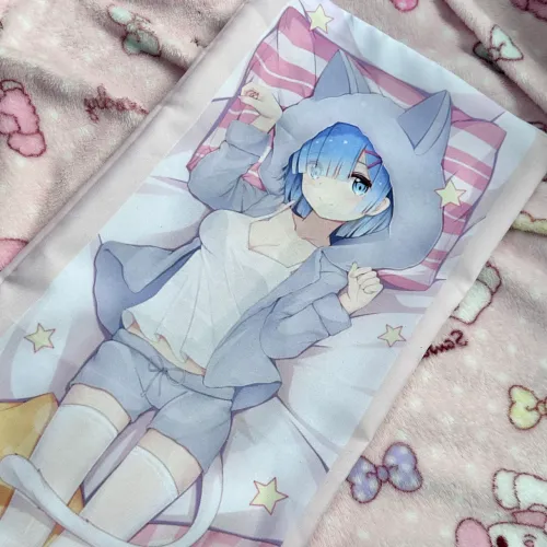 mini dakimakura - re:zero.