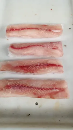Filé de Douradinha 