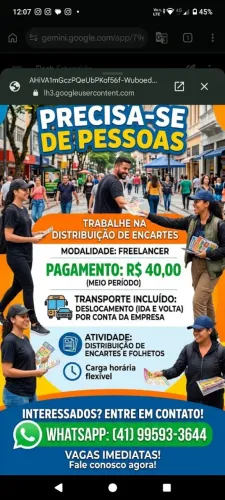 Pra qualquer região Curitiba e metropolitana