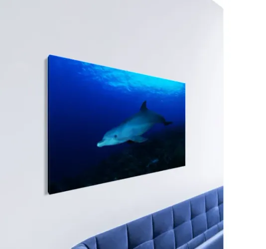 Quadro com Fotografia da Natureza (tamanho 50 x 70cm em tela canvas)