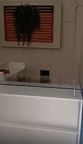 Kit loja balcão em L