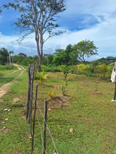 Terreno subauma na principal