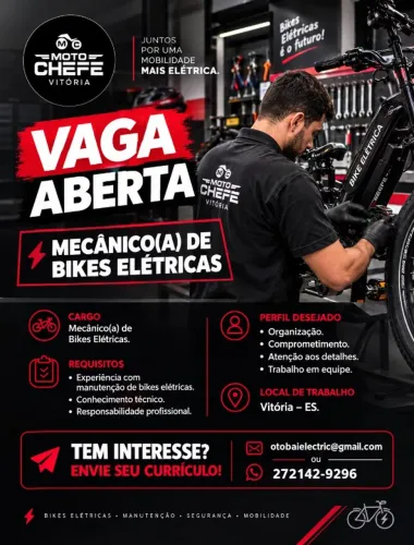 Mecânico(a) de Motocicletas.