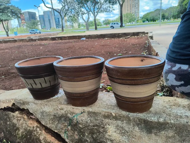 Vasos de barro para plantas