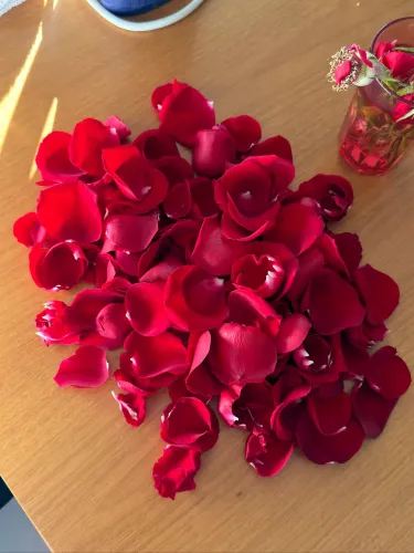 Pétalas de Rosas