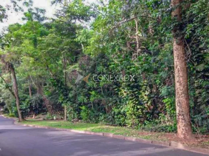terreno - Parque São Quirino - Campinas