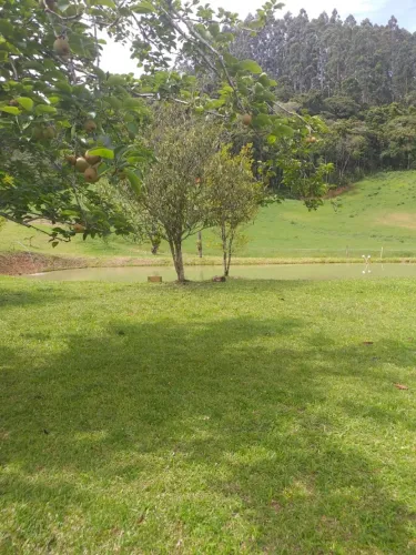Sitio Rio do Poncho - São Bonifácio 3hectares