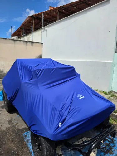 BRM Buggy W. Turing/luxo/m-11 Absolut 1.6 8V 2005
