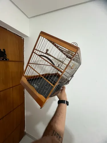 GAIOLA CASADEIRA 50CM