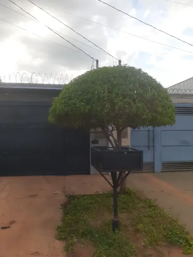 Jardinagem engeral
