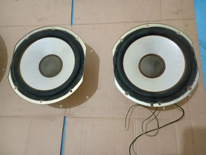 2 alto falantes de 8 polegadas