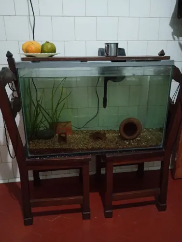 Aquário lindo