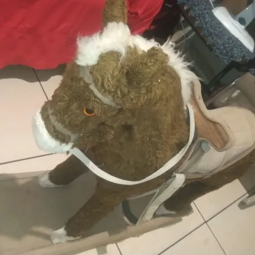 Cavalo de balanço