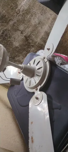 Ventilador de Teto Usado