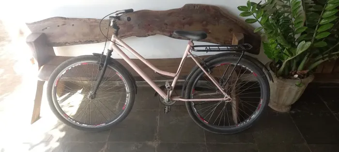 Bicicleta Bagagem 