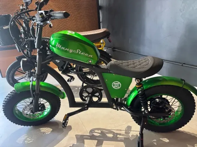 Bike Elétrica