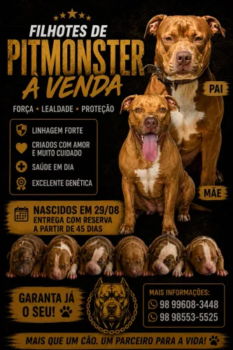 Filhotes de Pitmonster