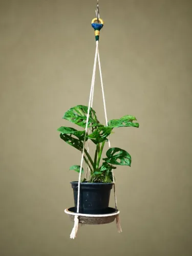 Acessórios para jardinagem e decoração. Suporte artesanal para planta.