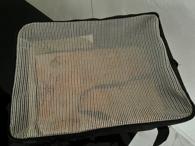 Bolsa de Transporte para Pets São Pet Aerial - Seminova