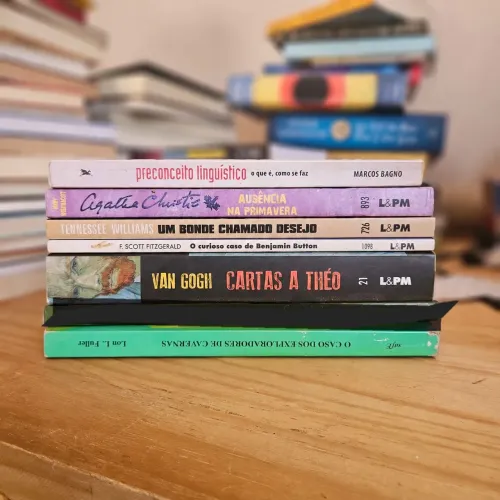 Lote 6 livros de bolso