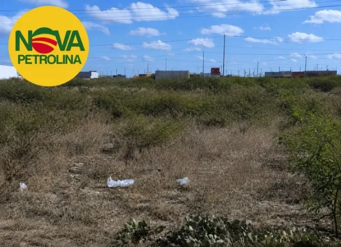 Terreno Nova Petrolina 1ª etapa ("de sombra", próx. às 2 avenidas principais e à escola)