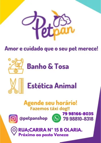 Banho e tosa 