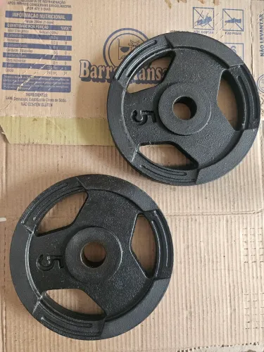 Um par de anilhas de ferro de 5kg