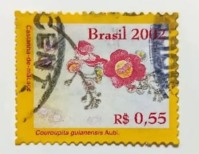 Selo postal - Castanha de macaco
