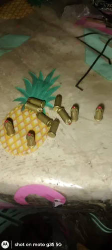 Fica pinos calibre 22