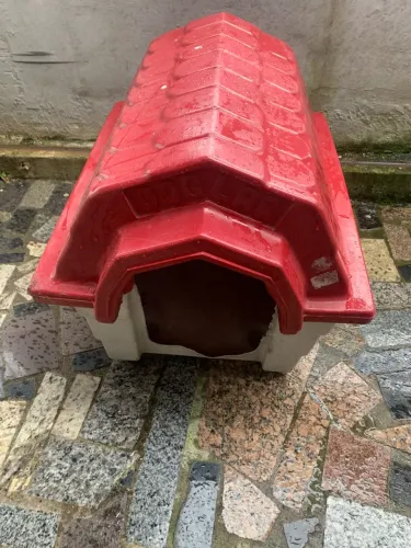 Casinha cachorro porte médio