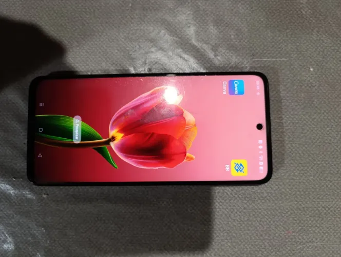 Celular Realme C55