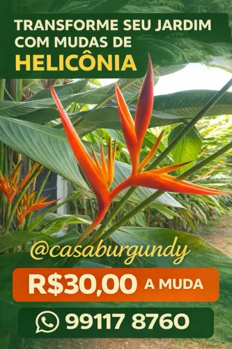 PLANTAS PARA PISCINA