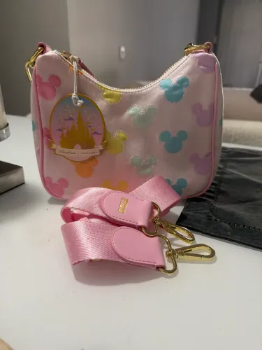 Bolsa Disney parks 