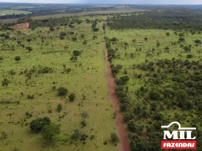 Fazenda em Alexânia-GO. . 76 Alq. (367 Há). Boa p/ Soja