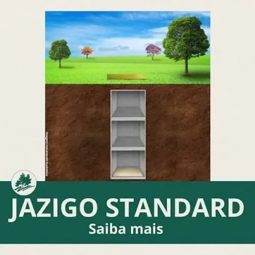 Vende - Se Jazigo Parque Dos Pinheiros 3 Gavetas