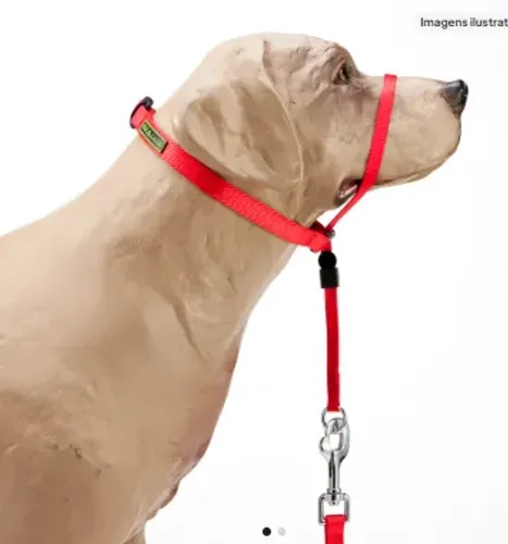 coleira/cabresto k9 spirit para passeio e adestramento tam. G vermelha e preta