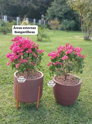 Belos vasos e plantas completos com VALORES ABAIXO DE FLORICULTURAS