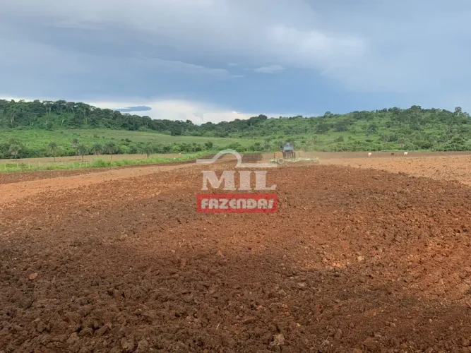 Fazenda 100 Alqueires (484 Hectares) Miranorte - TO
