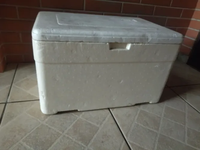 Caixa de isopor 