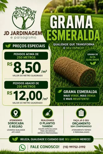 Grama esmeralda 
